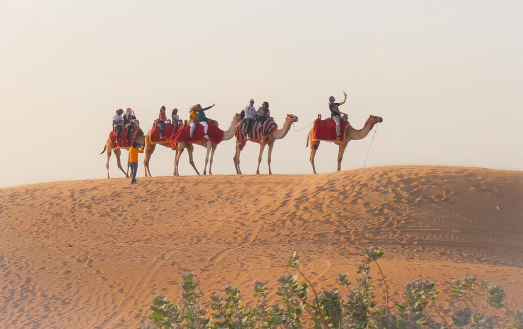 Best Things to do in Pushkar in 2 Dyas -Camel safari.