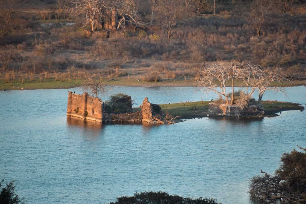 Lake inside Ranthambore National Park